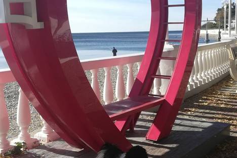 1-комнатная квартира в Дивноморском, Дивноморское, Мускатная ул., 9к1