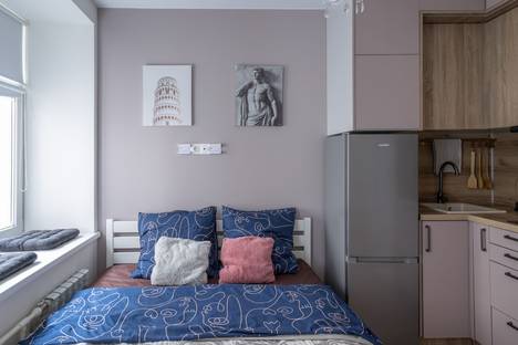 Однокомнатная квартира в аренду посуточно в Санкт-Петербурге по адресу Московский пр-кт, 20