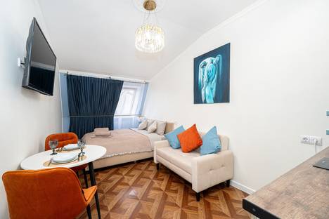 1-комнатная квартира в Санкт-Петербурге, Конногвардейский б-р, 9