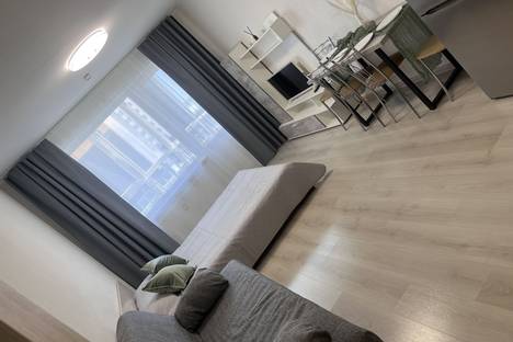 1-комнатная квартира в Ленинградской области, Ленинградская область, жилой комплекс Новое Горелово