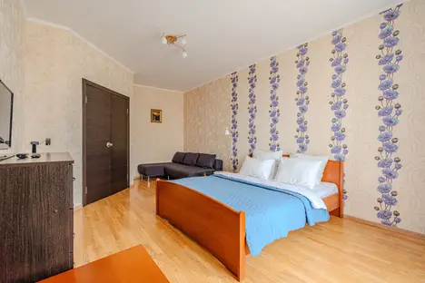 1-комнатная квартира в Екатеринбурге, Красный пер., 5к2