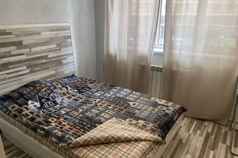 Однокомнатная квартира в аренду посуточно в Балашихе по адресу Чистопольская ул., 28