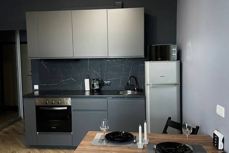 1-комнатная квартира в Санкт-Петербурге, ул. Фёдора Котанова, 3к2