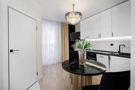 Однокомнатная квартира в аренду посуточно в Минске по адресу ул. Николы Теслы, 14