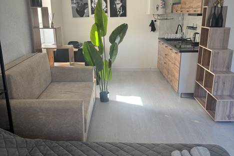 1-комнатная квартира в Севастополе, садоводческое товарищество Голубой залив, 143А