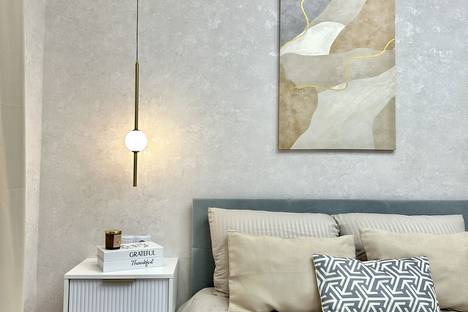 Однокомнатная квартира в аренду посуточно в Казани по адресу ул. Петра Полушкина, 1