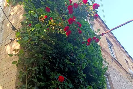 1-комнатная квартира в Пятигорске, Пятигорск, ул. Дзержинского, 13