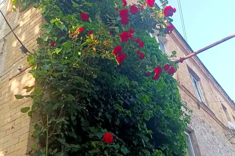 1-комнатная квартира в Пятигорске, Пятигорск, ул. Дзержинского, 13