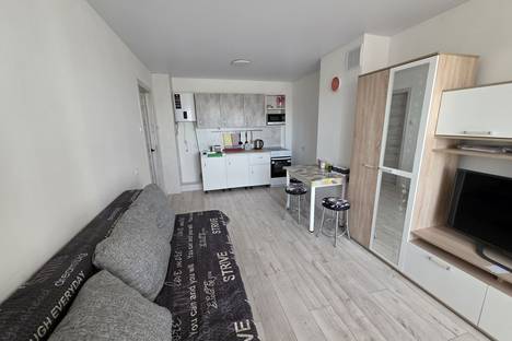 1-комнатная квартира в Хабаровске, Хабаровск, Краснодарский пер., 10