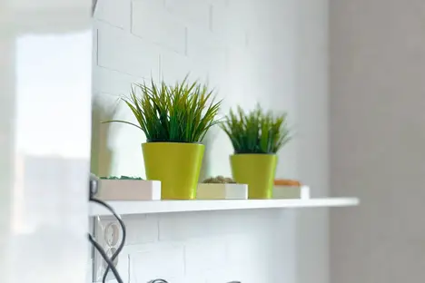 1-комнатная квартира в Пионерском, Рабочая ул., 48