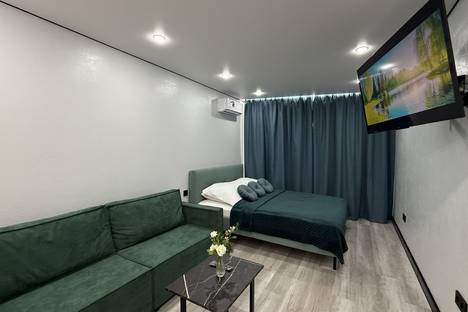 1-комнатная квартира в Уфе, Уфа, ул. Минигали Губайдуллина, 12