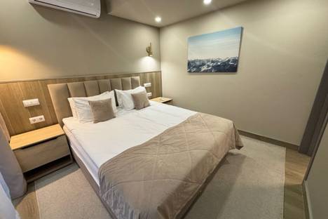 1-комнатная квартира в Сочи, мкр. Светлана, Учительская ул., 5