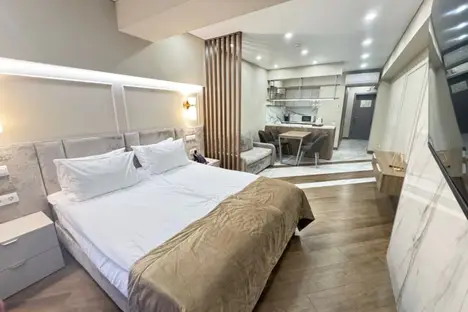 1-комнатная квартира в Сочи, мкр. Светлана, Учительская ул., 5