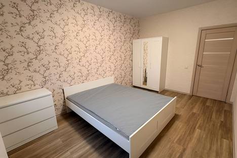 2-комнатная квартира в Санкт-Петербурге, Кушелевская дор., 7к1