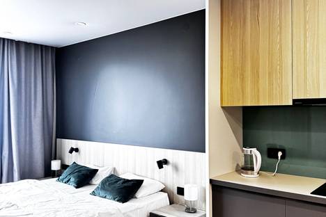 1-комнатная квартира в Санкт-Петербурге, Киевская ул., 5к6