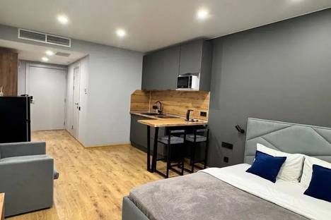 1-комнатная квартира в Санкт-Петербурге, Санкт-Петербург, Киевская ул., 5к6