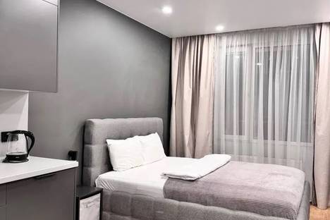 Однокомнатная квартира в аренду посуточно в Санкт-Петербурге по адресу Киевская ул., 5к6