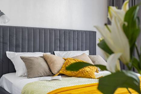 1-комнатная квартира в Екатеринбурге, Екатеринбург, ул. Зои Пушкаревой, 2