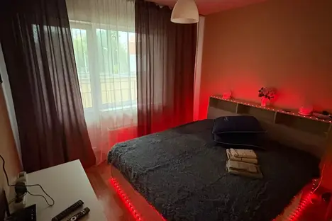 1-комнатная квартира в Екатеринбурге, ул. Шевелёва, 5