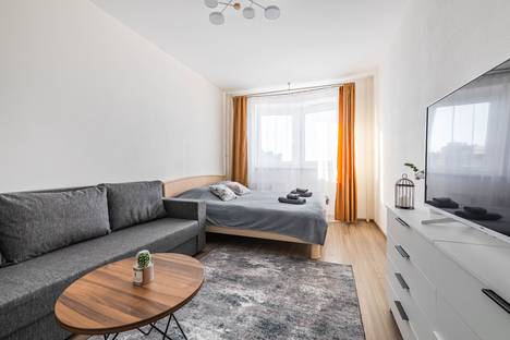 2-комнатная квартира в Парголове, Заречная ул., 36