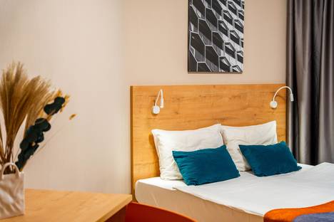 1-комнатная квартира в Парголове, Толубеевский пр-д, 8к2, м. Парнас