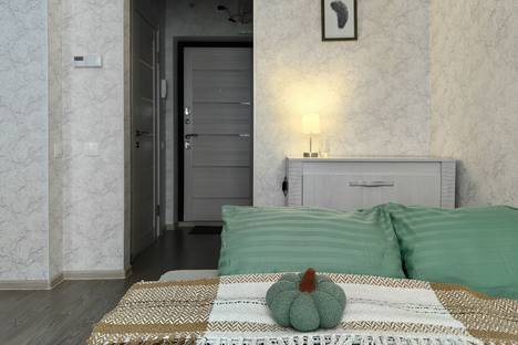 1-комнатная квартира в Светлогорске, Яблоневая ул., 18А