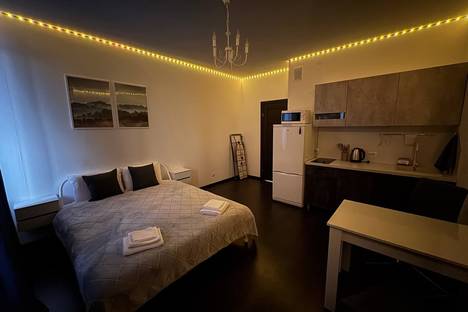 1-комнатная квартира в Санкт-Петербурге, Санкт-Петербург, Верхне-Каменская ул., 11к1