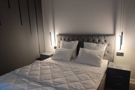 1-комнатная квартира в Великом Новгороде, Большая Санкт-Петербургская ул., 106к5