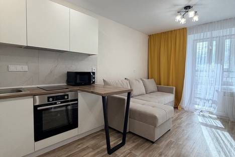 1-комнатная квартира в Благовещенске, Артиллерийская ул., 93