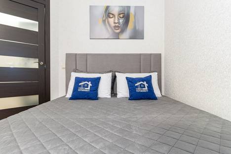 Однокомнатная квартира в аренду посуточно в Краснодаре по адресу Красная ул., 176/5