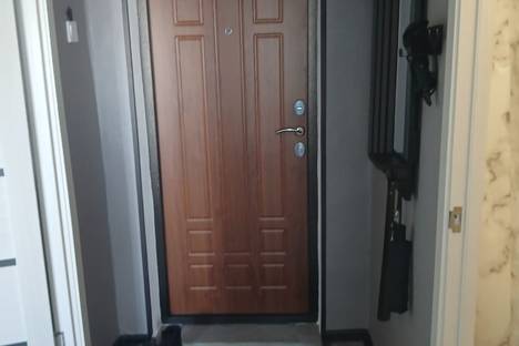 1-комнатная квартира в Каменке, Центральная ул., 3