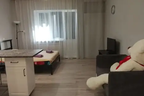 1-комнатная квартира в Кингисеппе, Кингисепп, ул. Воровского, 50к2