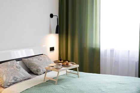 Однокомнатная квартира в аренду посуточно в Курске по адресу ул. Энгельса, 115/5