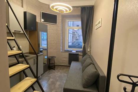 Однокомнатная квартира в аренду посуточно в Санкт-Петербурге по адресу 4-я Советская ул., 21