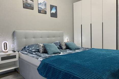 Однокомнатная квартира в аренду посуточно в Рязани по адресу р-н  Канищево, Интернациональная ул., 20