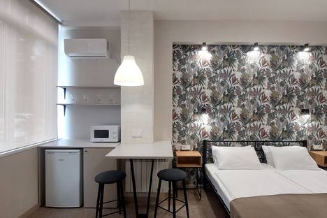 Однокомнатная квартира в аренду посуточно в Сочи по адресу Курортный пр-кт, 75к1