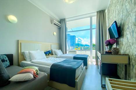 1-комнатная квартира в Сочи, Курортный пр-кт, 75к1