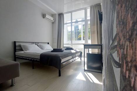 1-комнатная квартира в Сочи, Курортный пр-кт, 75к1