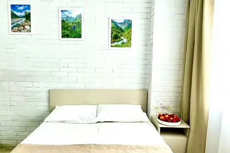 1-комнатная квартира в Сочи, Сочи, Курортный пр-кт, 96Гк2
