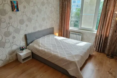 1-комнатная квартира в Санкт-Петербурге, Санкт-Петербург, пр-кт Большевиков, 13к2