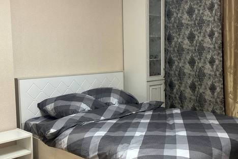 Однокомнатная квартира в аренду посуточно в Красноярске по адресу ул. Шевченко, 3