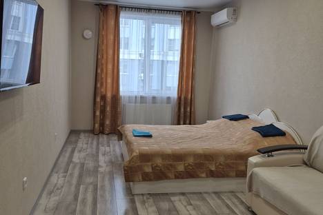 1-комнатная квартира в Рязани, Рязань, ул. Чапаева, 61