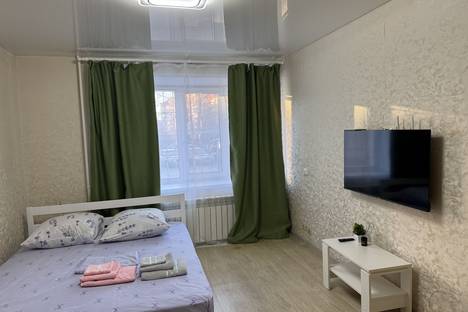 1-комнатная квартира в Омске, Омск, Бульварная ул., 2А