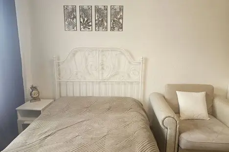 1-комнатная квартира в Сестрорецке, ул. Борисова, 8к1