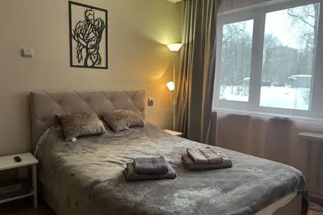 1-комнатная квартира в Электростали, Южный пр-кт, 11к1