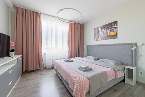 2-комнатная квартира в Санкт-Петербурге, Витебский пр-кт, 99к1