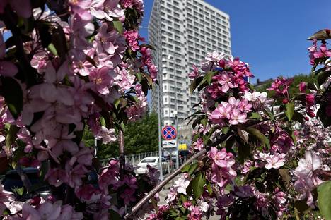 3-комнатная квартира в Казани, Казань, Щербаковский пер., 7