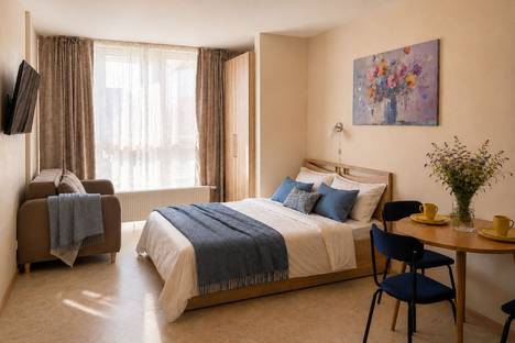 1-комнатная квартира в Пушкине, ул. Архитектора Данини, 15к1