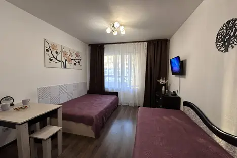 1-комнатная квартира в Санкт-Петербурге, пр-кт Ветеранов, 171к4