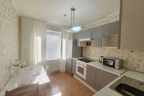1-комнатная квартира в Сестрорецке, Приморское ш., 281к2